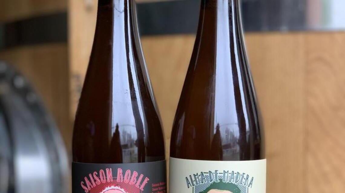 Salud Cervecería to release its first bottles and cans this weekend