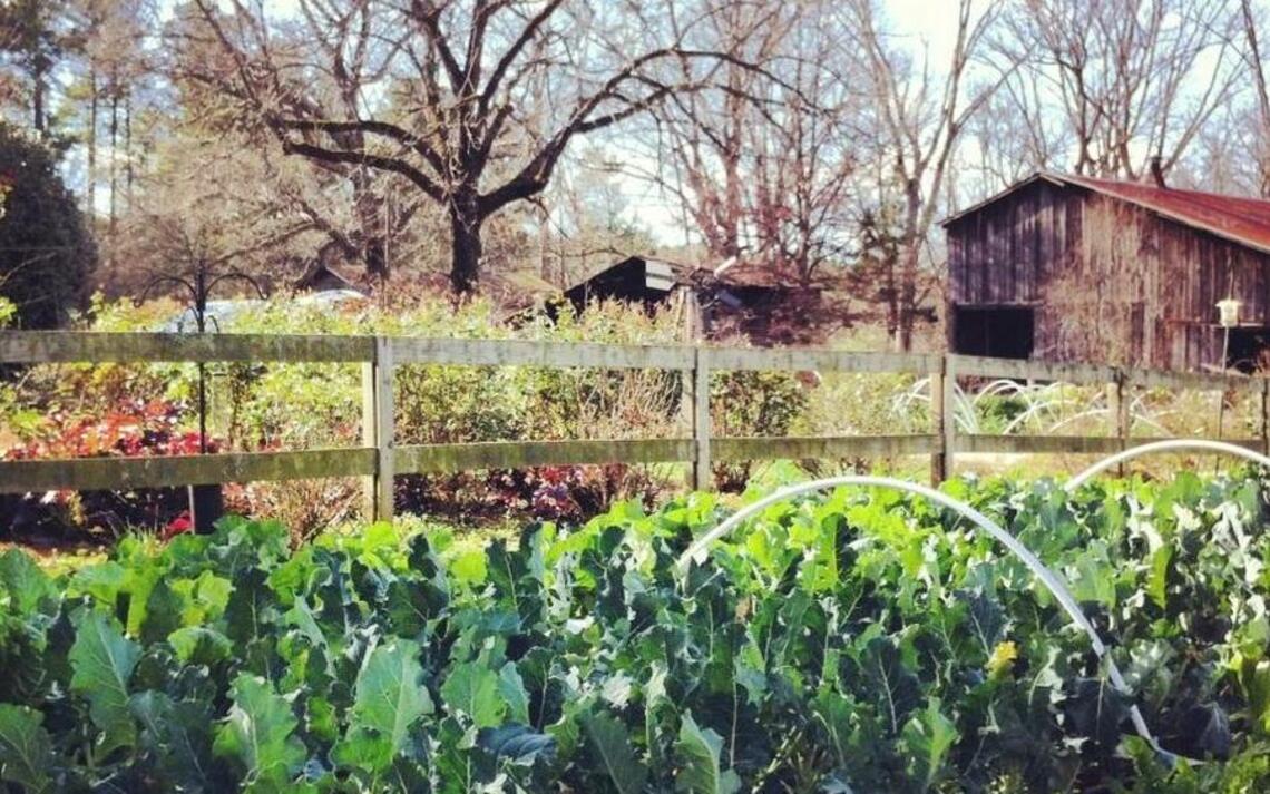Vegan farm-to-table meal slated, at farm
