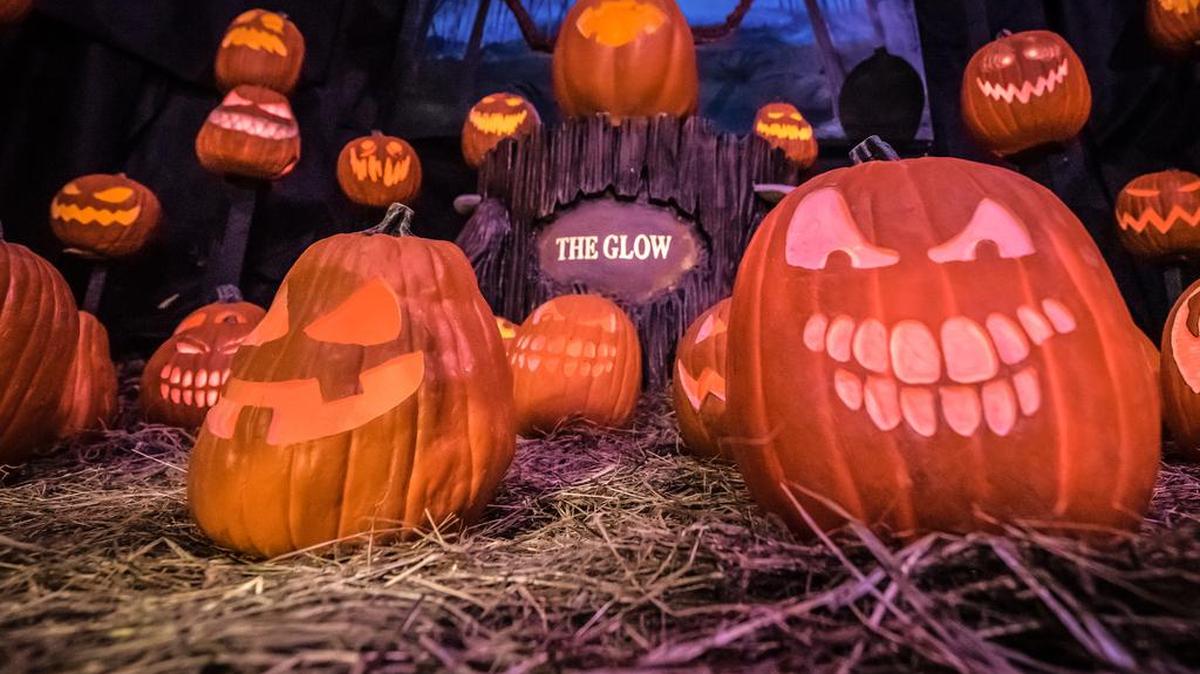 “The Glow: A Jack O’Lantern Experience” — coming soon to Charlotte Motor Speedway at Rock City Campground — will feature intricately carved pumpkins including historical figures, seasonal landscapes and more.