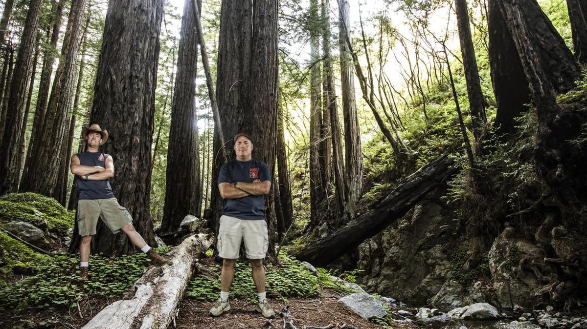 
Twin brothers and business partners John (left) and Ron Daniels are master craftsmen creating one-of-a-kind works of art from reclaimed wood in “Redwood Kings.”
