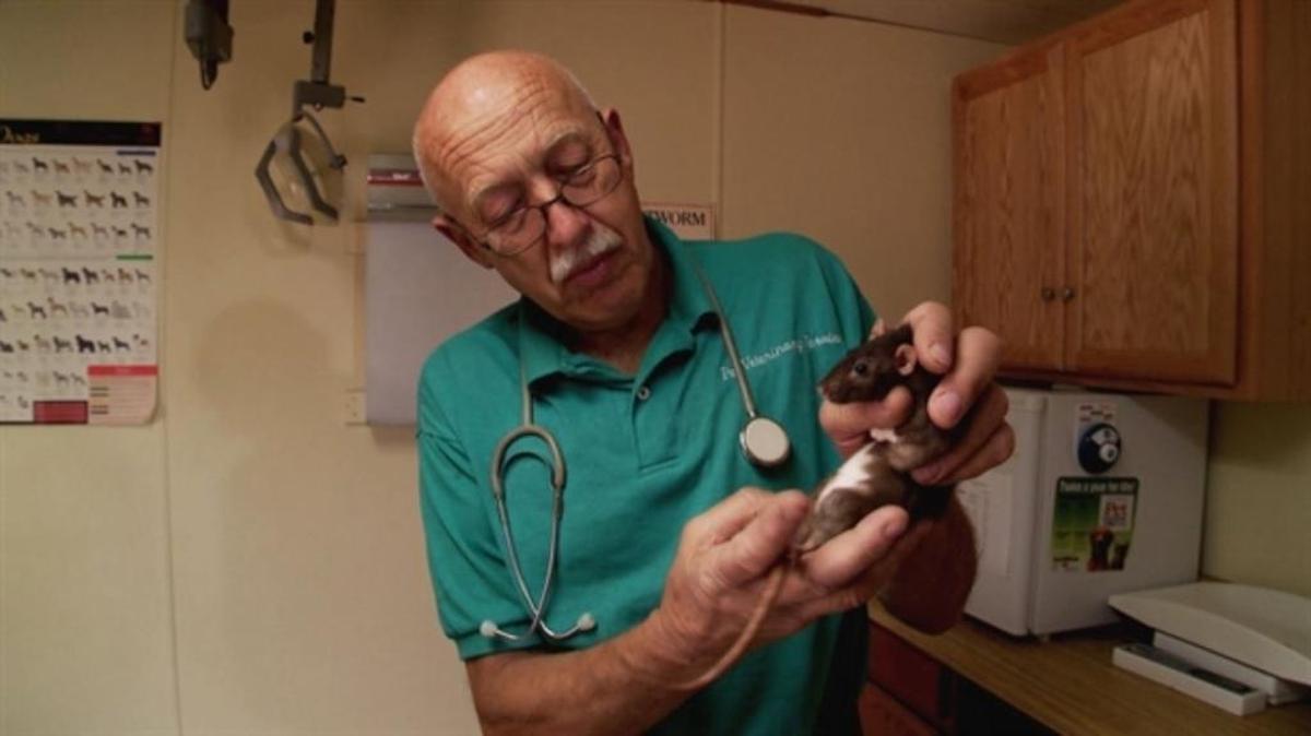 Dr. Jan Pol of “The Incredible Dr. Pol” on Nat Geo Wild.