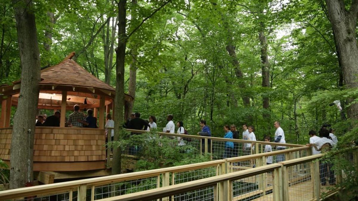 
The reveal of the Sunrise Day Camp Clubhouse on Animal Planet’s “Treehouse Masters.” 
