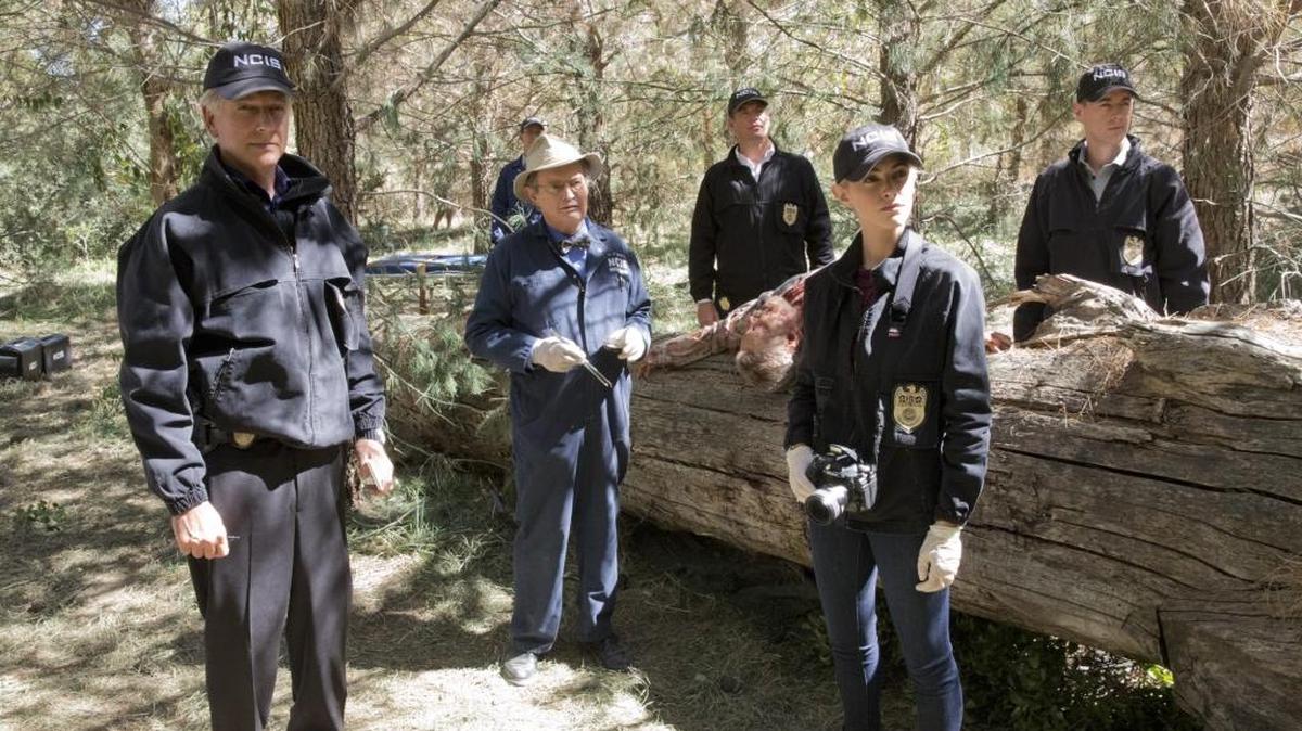 (L-R): Mark Harmon, Brian Dietzen, David McCallum, Michael Weatherly, Emily Wickersham and Sean Murray on “NCIS.”
