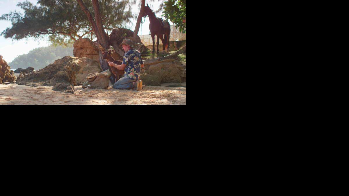 
Dr. Scott Sims, a large and small animal veterinarian, is Nat Geo Wild’s “Aloha Vet.” He travels the rugged Hawaiian islands to treat animals in need.
