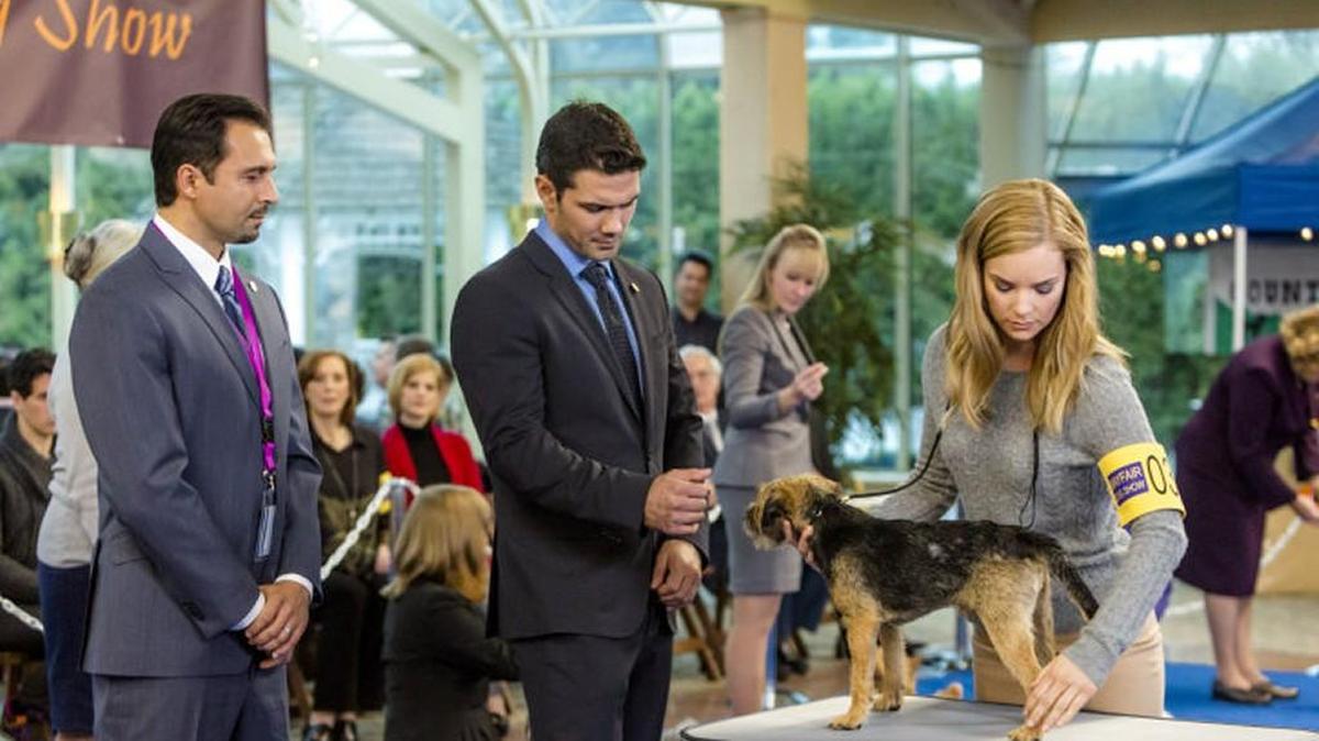 Ryan Paevey, center, as Donovan Darcy, and Cindy Busby as Elizabeth Scott in the Hallmark movie “Unleashing Mr. Darcy.”