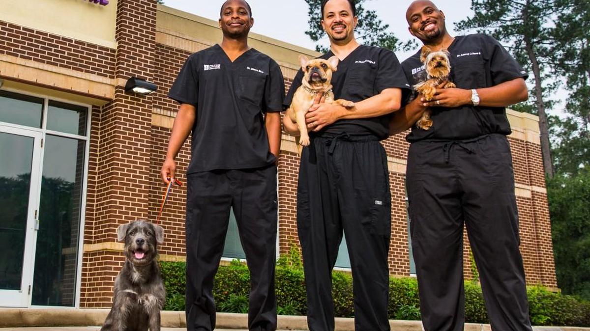 (L-R): Dr. Blue, Dr. Ross and Dr. Lavigne as seen on Animal Planet’s new series, “The Vet Life.”