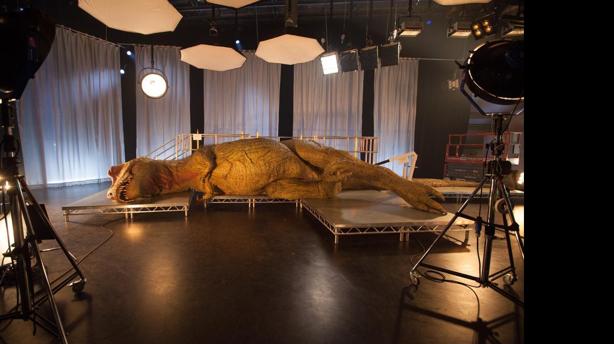 
The T. rex rests under the glare of lights in the specially constructed biology lab in the National Geographic Channel program “T. Rex Autopsy.”

