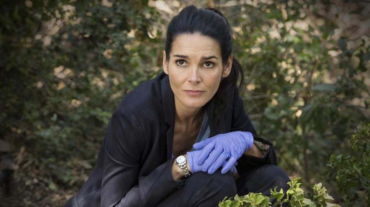 Actress Angie Harmon said on social media that a food delivery driver shot and killed her family dog over Easter weekend at her home in the Charlotte, NC area. Harmon is seen here in a file picture starring in the former TNT series as Jane Rizzoli in “Rizzoli & Isles.”