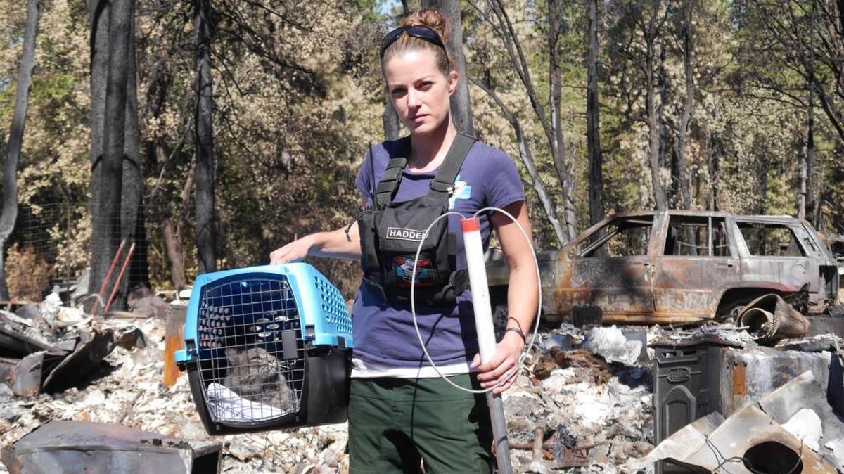 Karissa Hadden and a grey cat she rescued from the wildfire on Cobb Mountain.