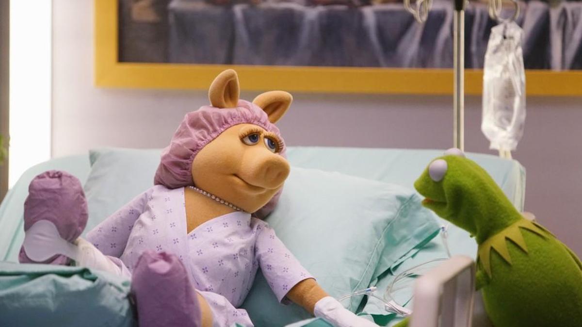 When Miss Piggy (left) breaks her leg, Kermit the Frog must figure out a way to broadcast her live show from the hospital.