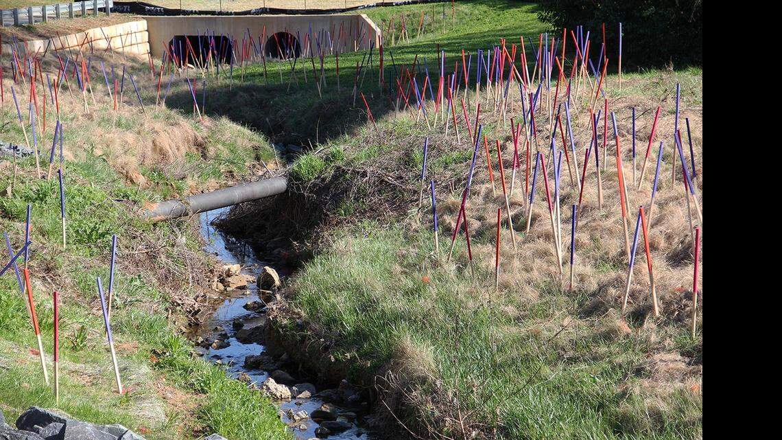 
Stacy Levy’s installation “Passage of Rain,” in the Revolution Park neighborhood, is part of KEEPING WATCH on WATER: City of Creeks at Projective Eye Gallery, UNC Charlotte College of Arts + Architecture. 


