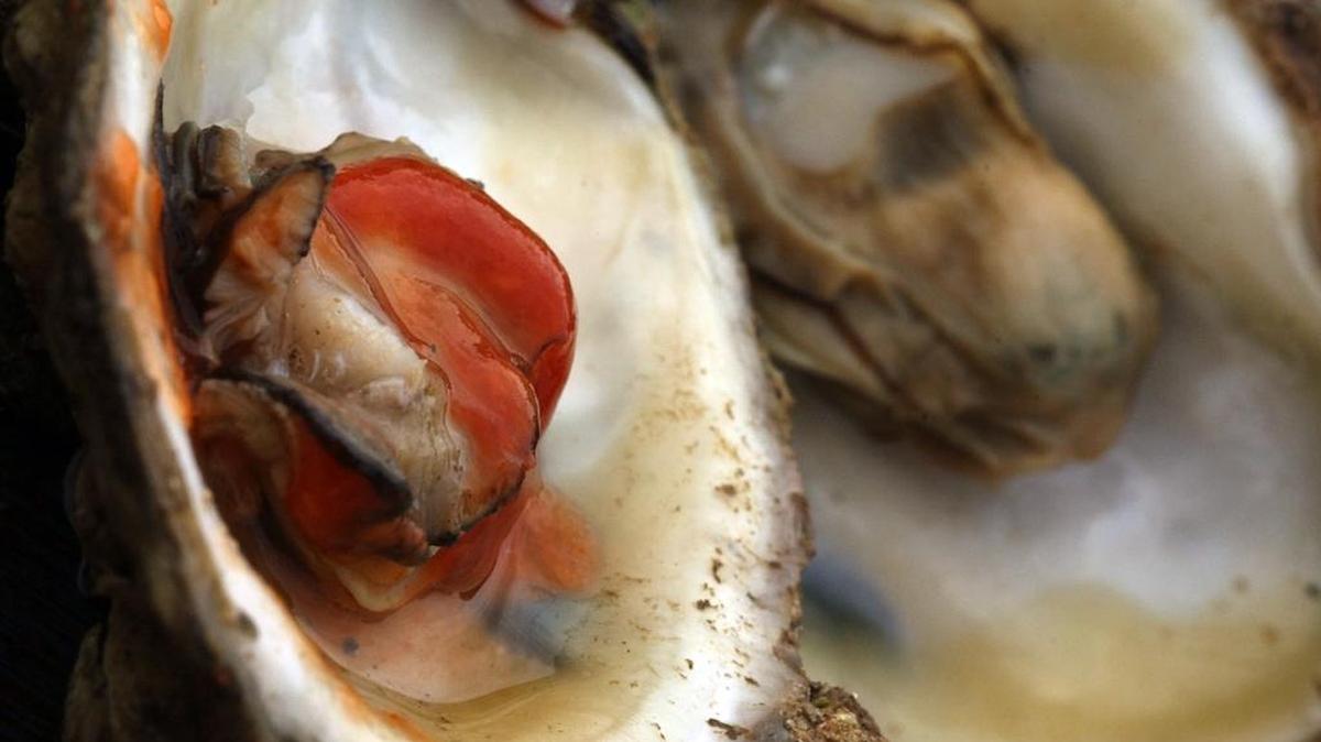 Rural Hill Fall Oyster RoastHistoric Rural Hill, 4431 Neck Road, HuntersvilleSunday, 3-6 p.m.: Chef Dan Huntley prepares baskets of steamed oysters with lemon, cocktail sauce and crackers. The event features live music, beer and wine from local brewers and wineries, hayrides, bonfires and more. Tickets $10, www.ruralhill.net.