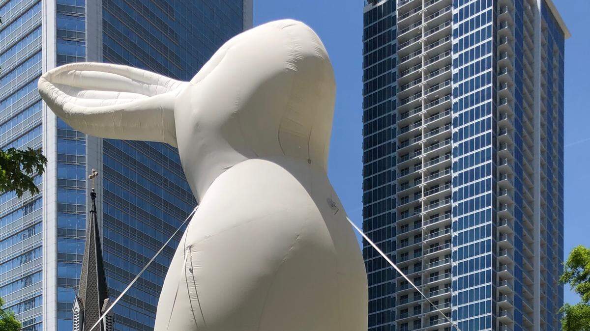 Large, inflatable bunnies on The Green in uptown were part of Charlotte SHOUTS! in 2019.