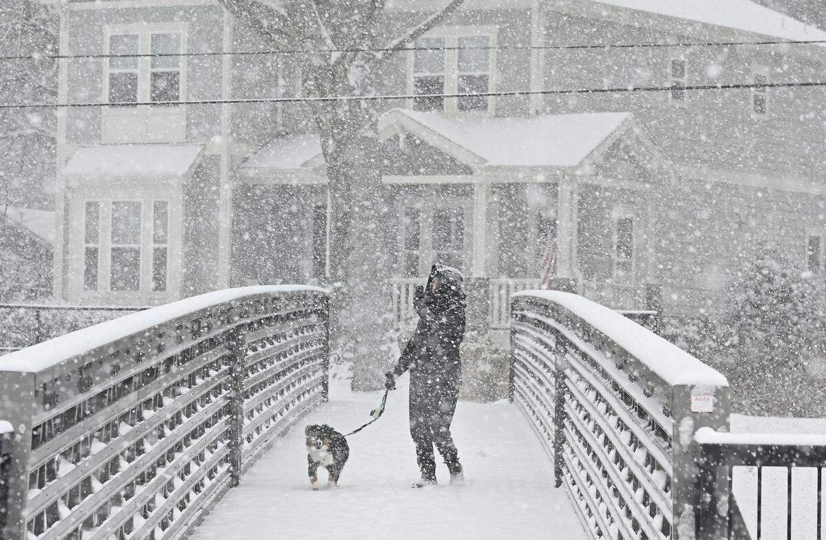 Jules Stukel and her puppy Goose enjoy the falling snow by FaceTiming a friend in Illinois on Saturday, January 31.