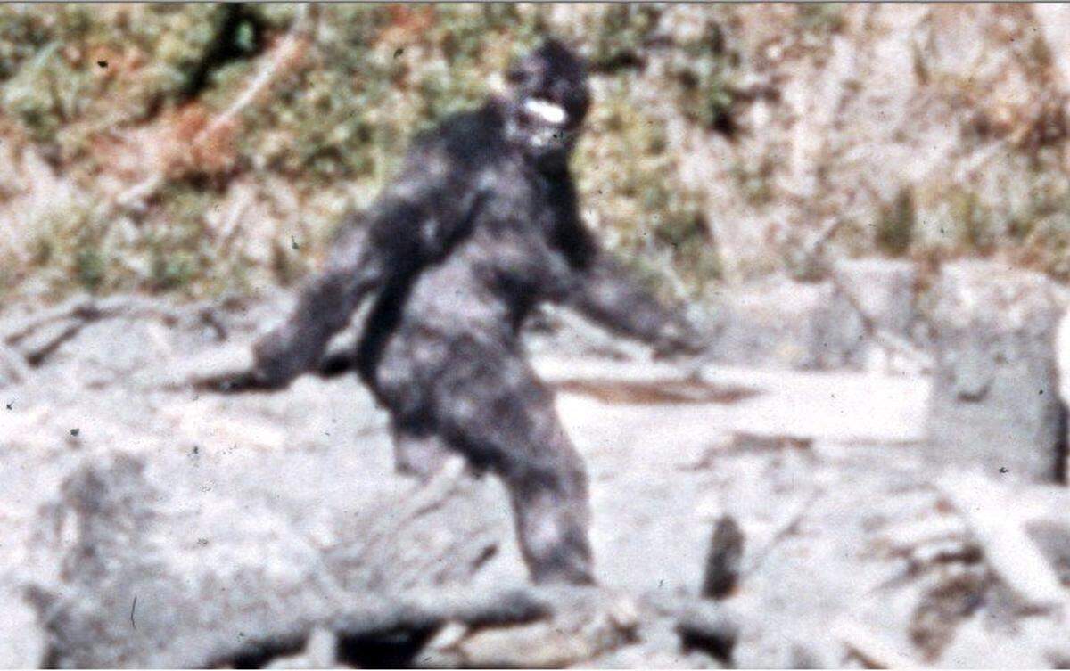 Pregister for the Charlotte Mecklenburg Library’s Feb. 24 virtual History’s Mysteries hour on the legends of Bigfoot.