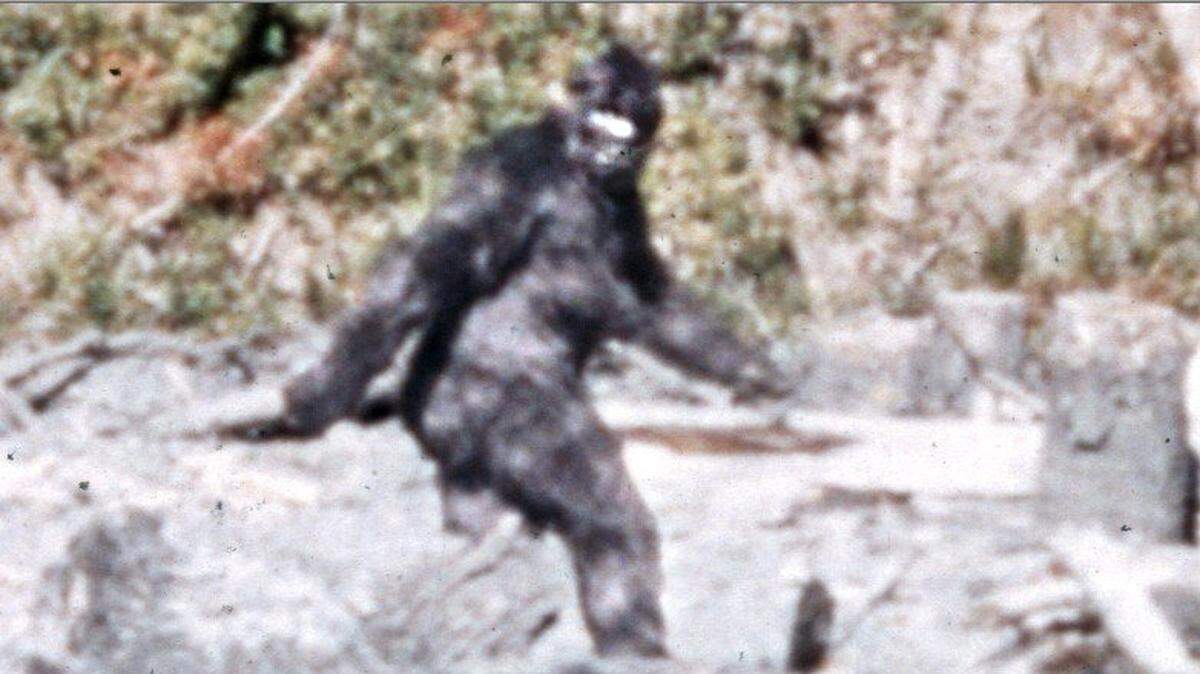 Bigfoot could be Southern.