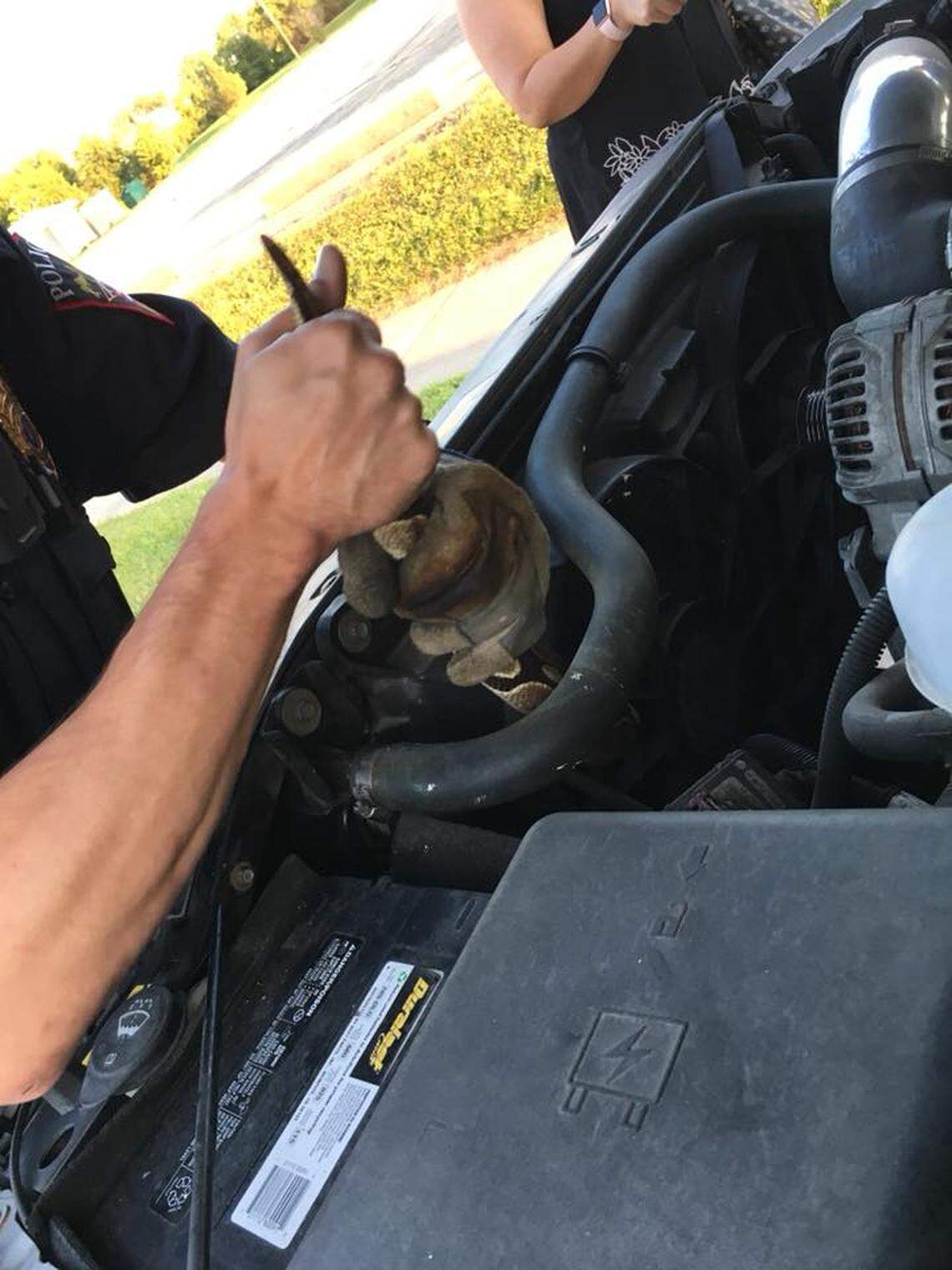 Omro Police officer tries pulling the snake out of the engine. It didn’t work.
