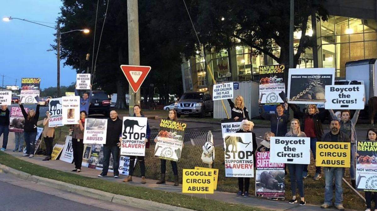 Kristen Moyer, a local activist, said that stiffer solution remedies both animal cruelty and public safety concerns, particularly if an animal were to escape or transmit an infectious disease. She organized a protest of Garden Bros. Circus in October.