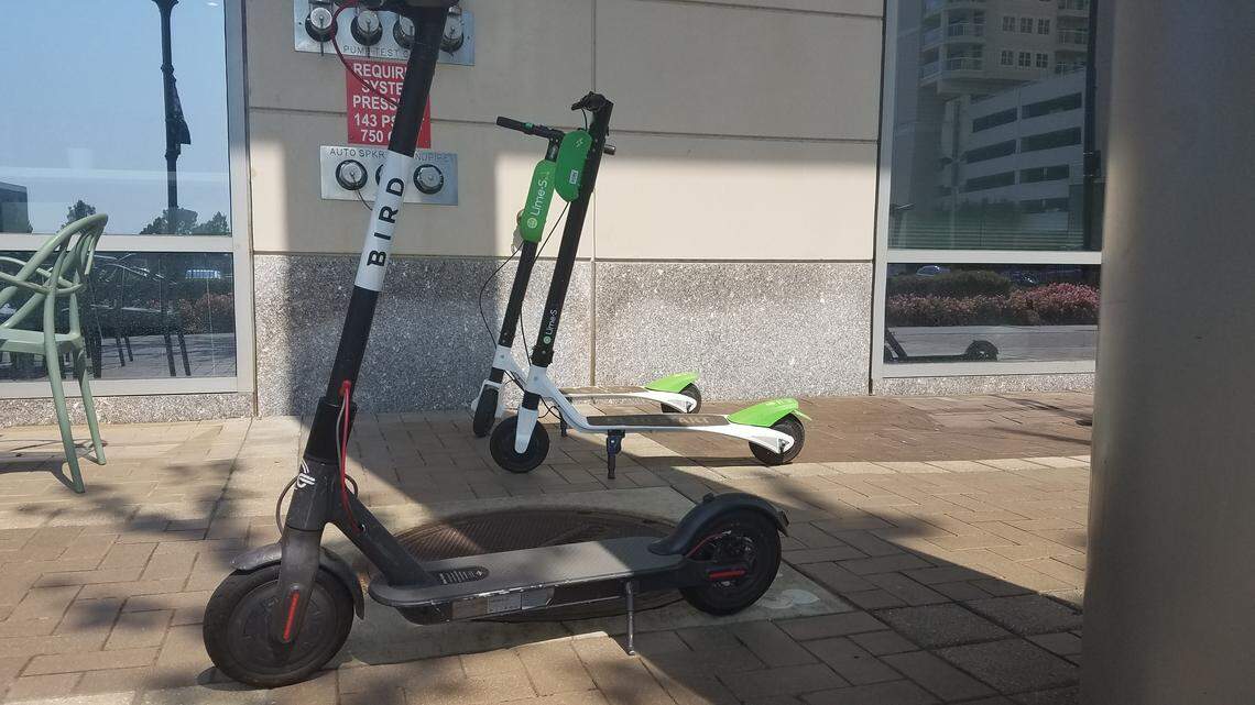 Bird and Lime scooters lined up on South Caldwell Street in uptown Charlotte.