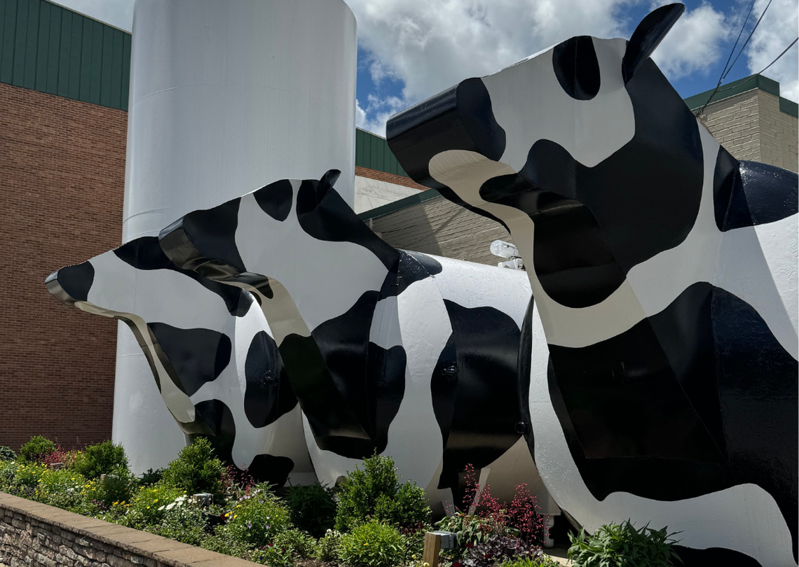 Watch out for Ashe County Cheese’s food truck, which features cheese-centered fare including cheese curds, grilled cheese and quesadillas.