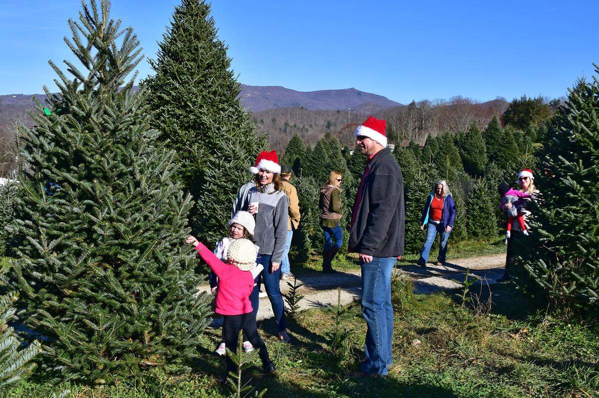 In Banner Elk, A Small Town Christmas includes a parade, caroling and walking tours. You can also cut Christmas tree from an area tree farm.