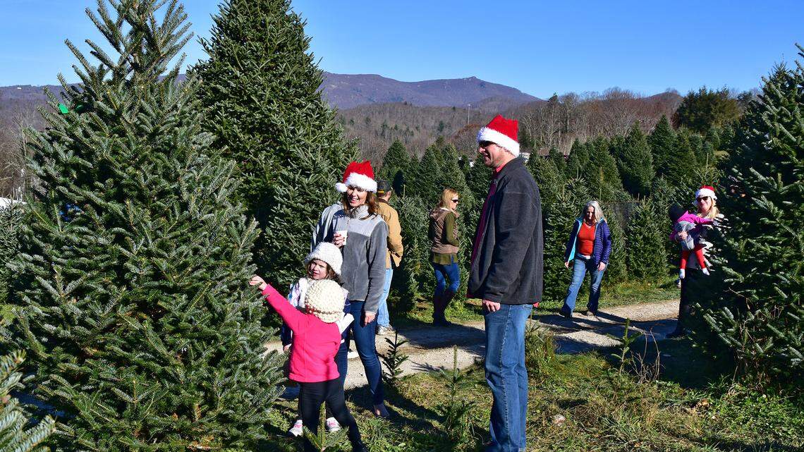 One way to end the season of giving on a sparkling note is to recycle that fragrant fresh Christmas tree as a benefit to the environment.