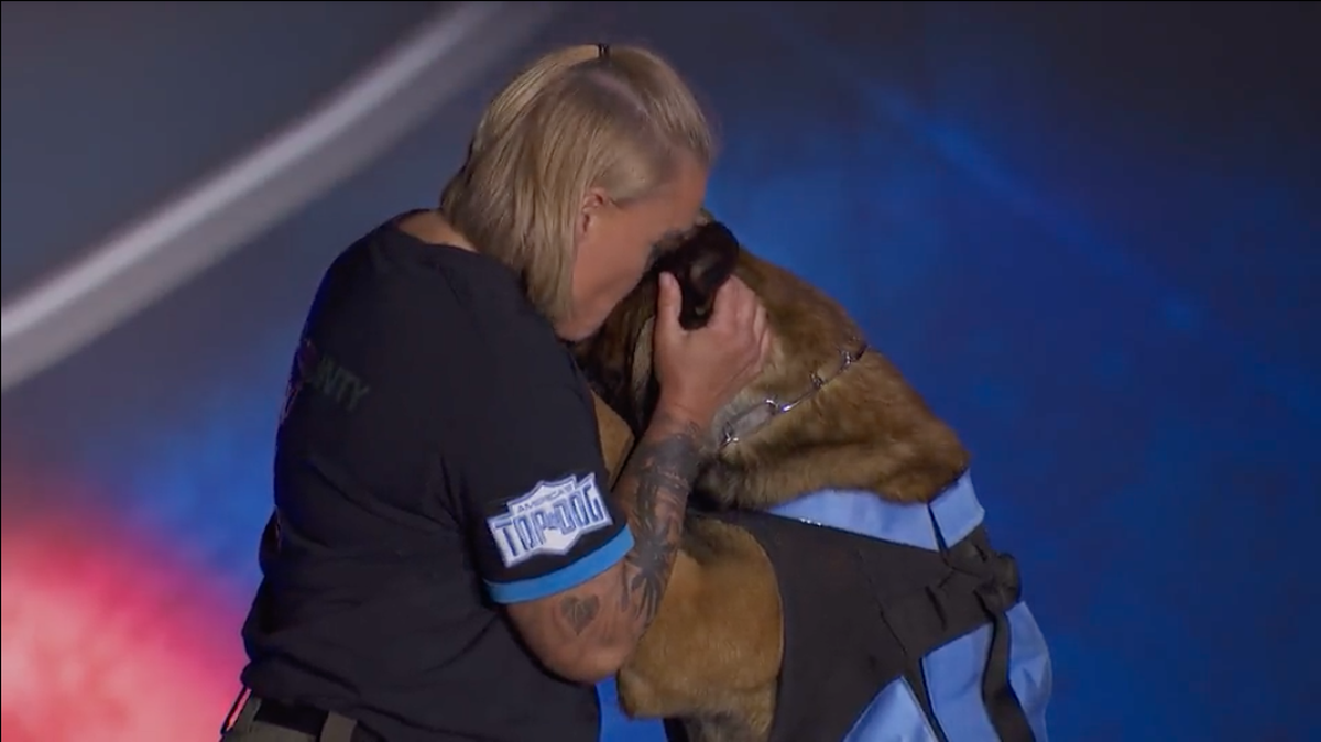 Bonito the Belgian Malinois, a K-9 officer with the Onslow County Sheriff’s Office, with his handler Sgt. D. Jauernik on “America’s Top Dog.” Their episode airs Jan. 15.