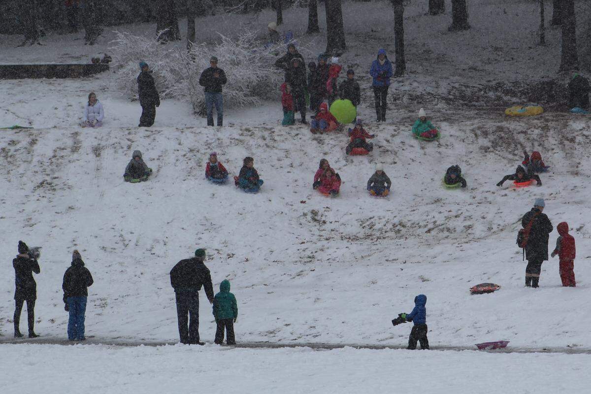Sledders in Freedom Park on Jan. 17, 2018.