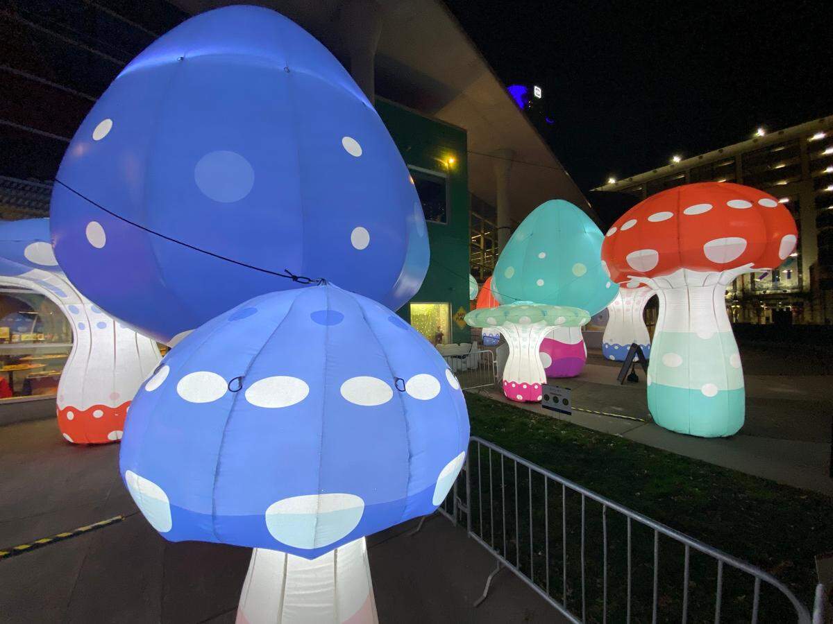 Amigo and Amigo Shrooms Art Installation will be live until mid-April.
