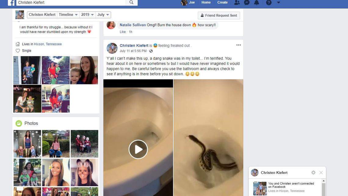 Woman ‘terrified’ after a snake in her toilet was ‘trying to climb out,’ video shows