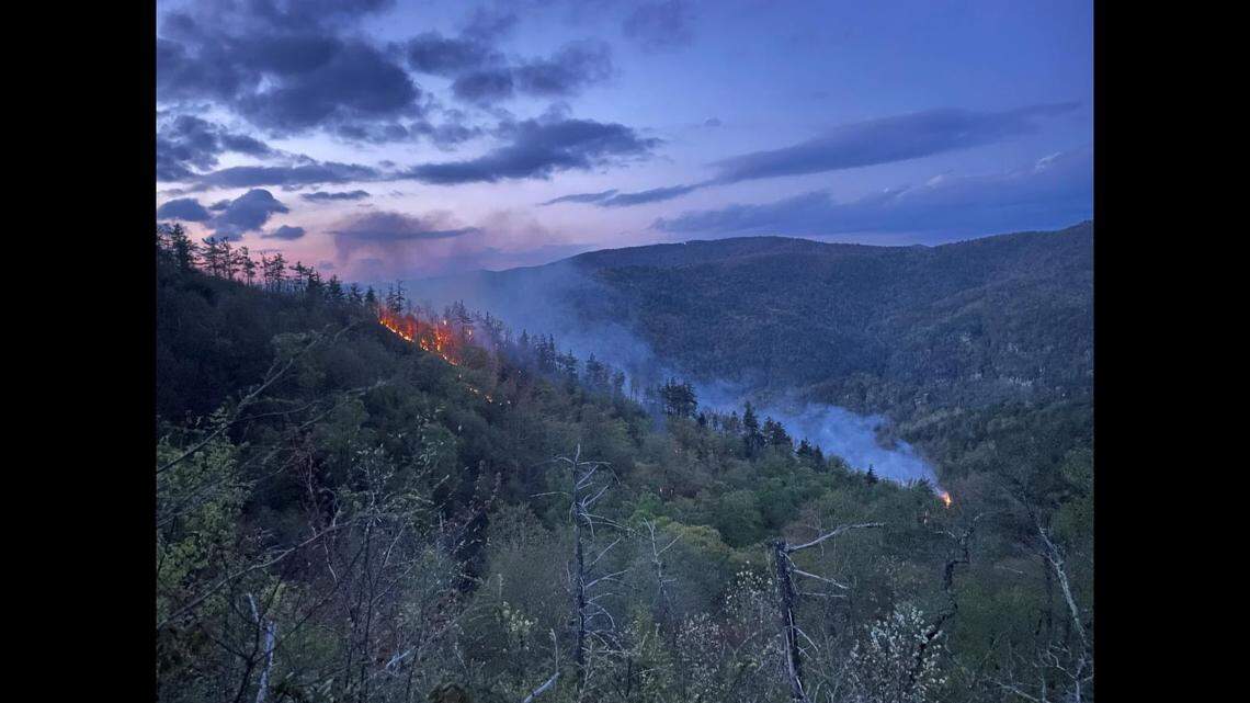 A 12-acre wildfire in North Carolina’s Linville Gorge was sparked when lightning hit a single tree, the U.S. Forest Service says