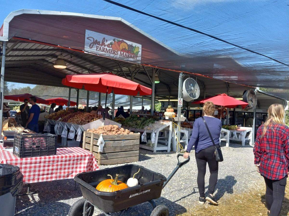 Buyers check out the vegetables, fruit and other items at Josh's Farmers Market beside Lowe's YMCA in Mooresville on Saturday, Oct. 15, 2022. The market announced a permanent location on Sept. 15, 2025.