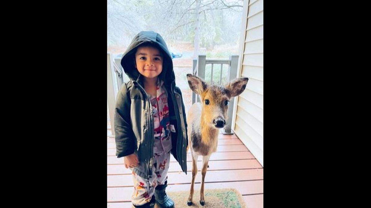 A stunned Stephanie Brown managed to get a photo of the shocking moment without scaring the baby deer or her 4-year-old son, and the image has been shared 17,000 times since she posted it.
