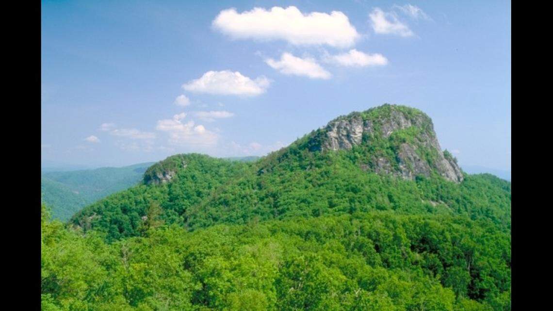 The body was found in a remote part of the Pisgah National Forest, north of Marshall, NC, federal officials say.