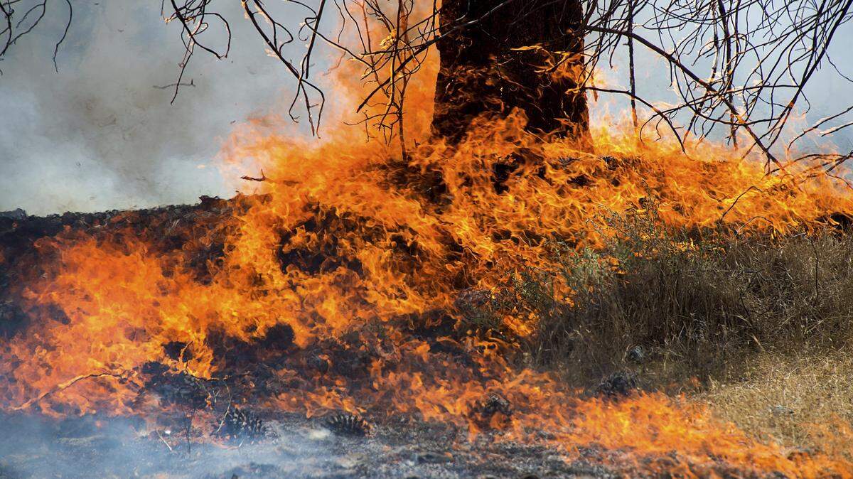 The fires involved abandoned homes and wooded areas in Robeson County.