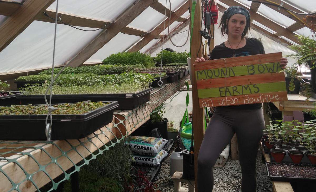 Mouna Bowa Farms grows microgreens, organic greens, herbs and more.