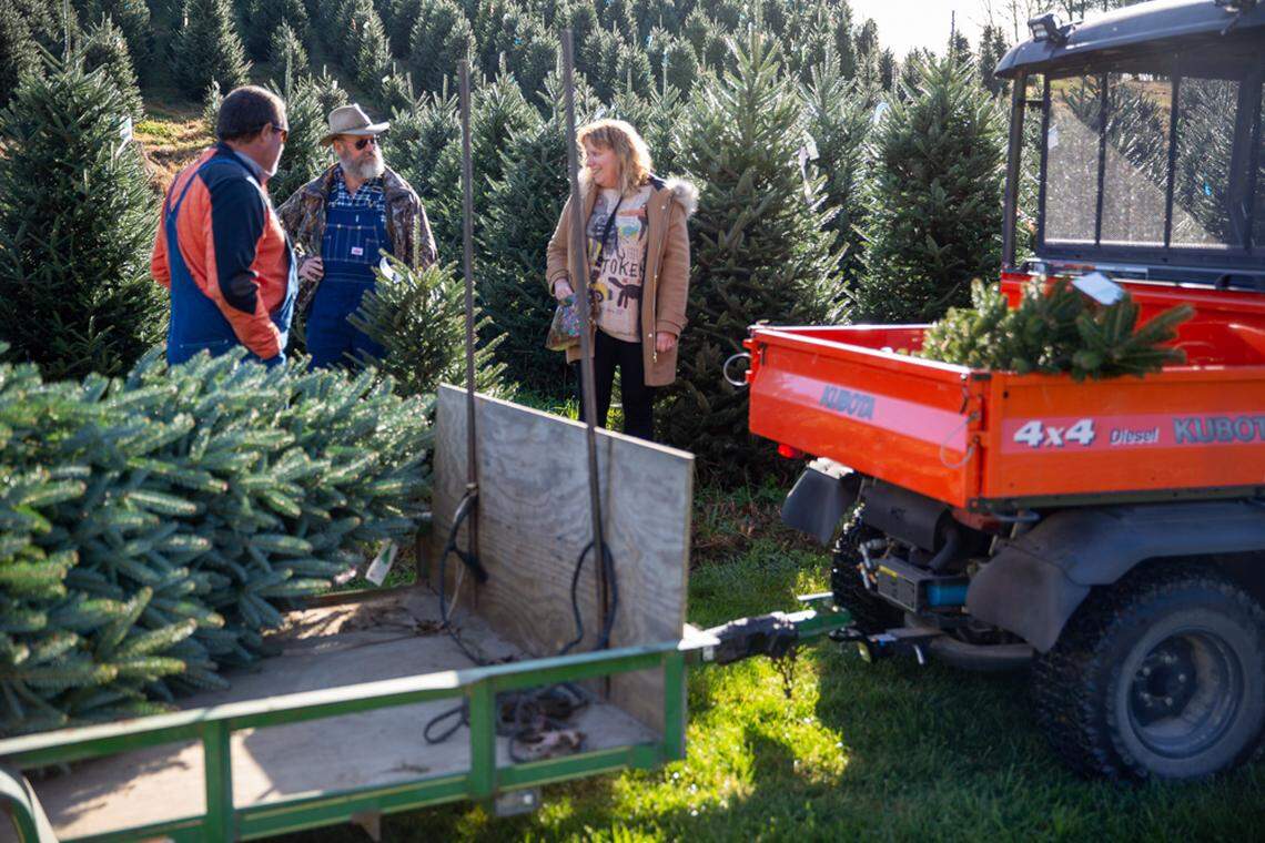 Families make a tradition of traveling to the N.C. mountains for choose-and-cut Christmas trees.