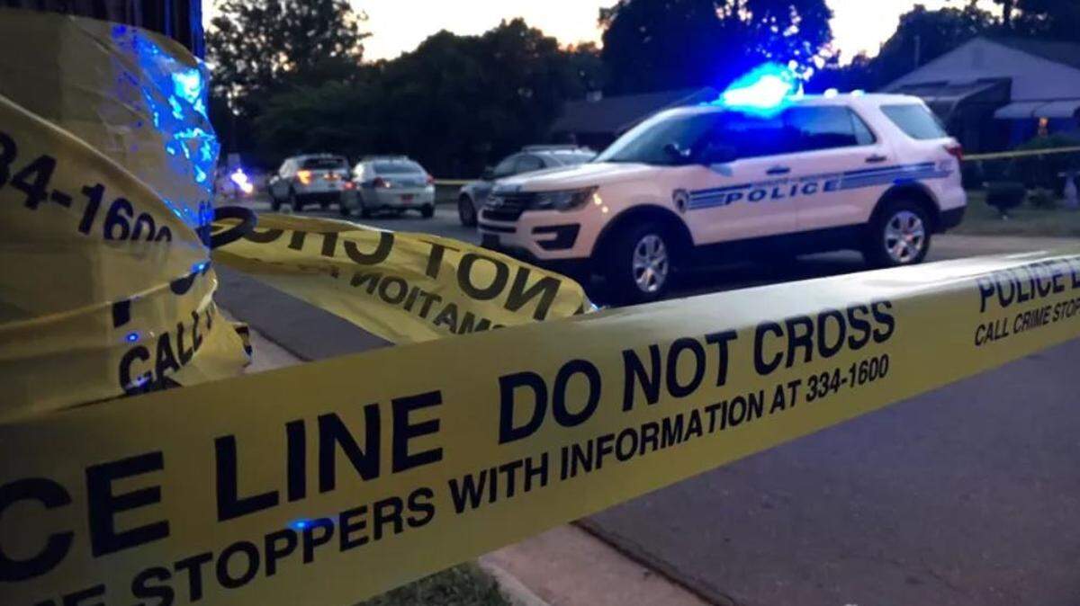 Two dogs were shot on Lasalle Street Saturday night.