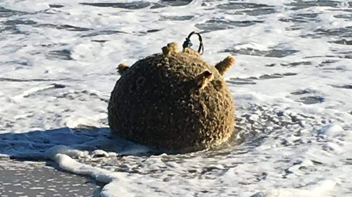 On the morning of November 25, a training mine was discovered south of Salvo, near off-road vehicle ramp 23.
