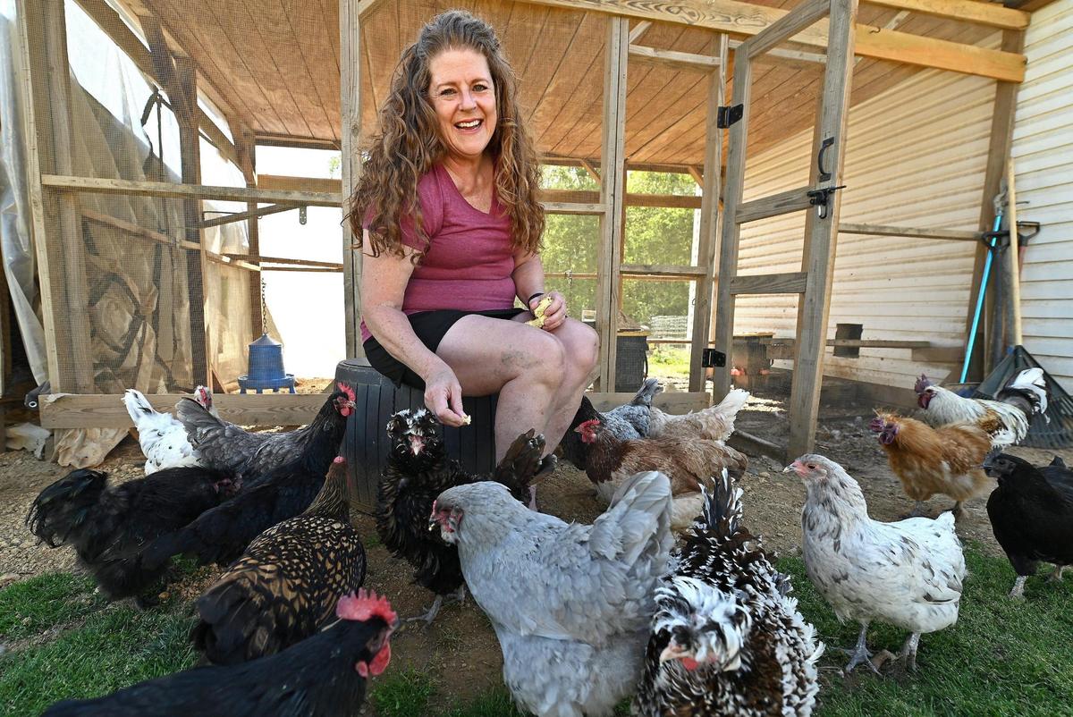 Mary Schroeder sits among a flock of her chickens on Wednesday. The Supreme Court is tasked with determining if Schroeders 62 chickens are or are not pets.