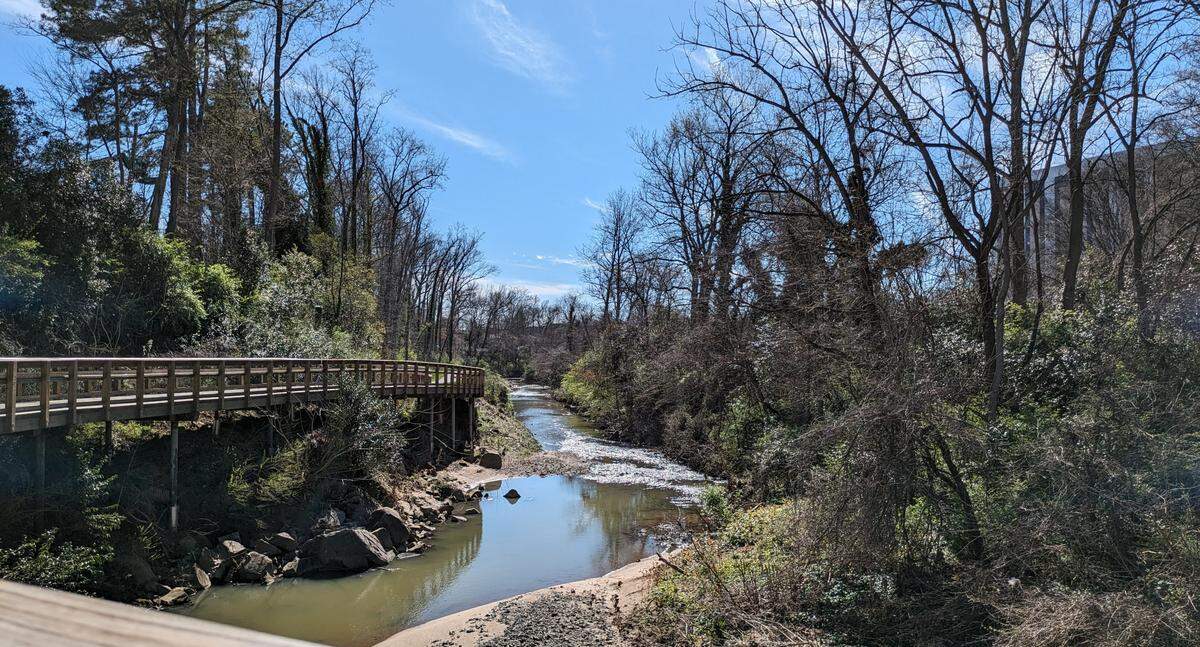 Walking south on the new section of the Little Sugar Creek Greenway near the Park Road Shopping Center makes you feel like you’re no longer in the city.