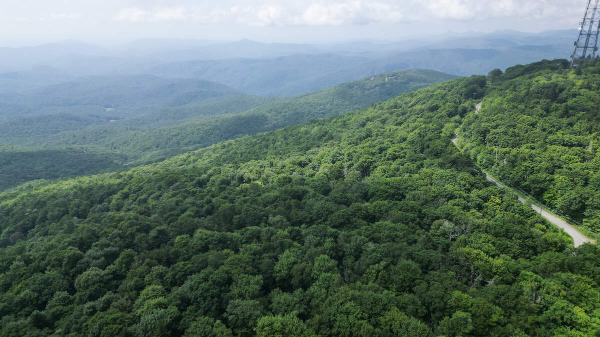 After 27 years of diplomacy, a “critical” acre of privately-owned land along the Blue Ridge Parkway in North Carolina has been acquired by the Blue Ridge Conservancy.