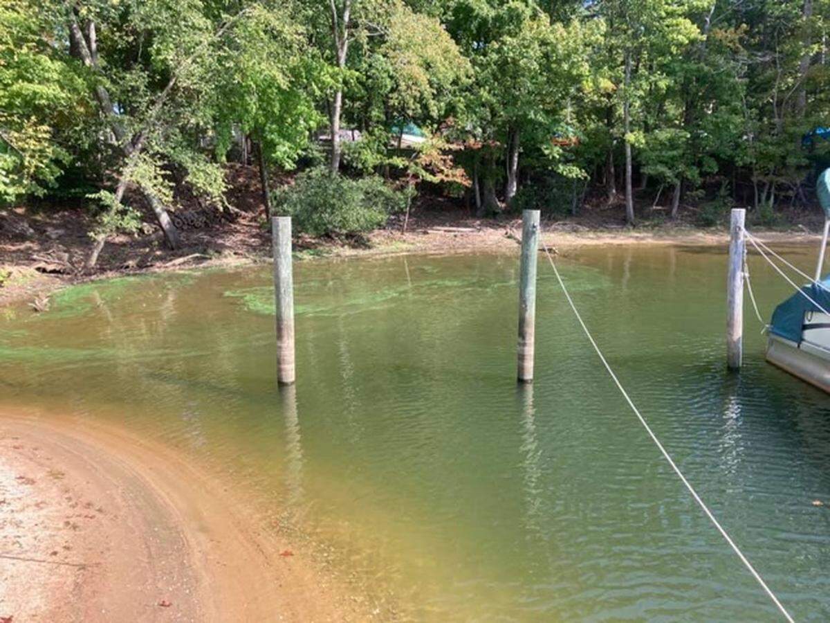 In an email on Oct. 6, 2021, a Catawba Yacht Club official notified members of a harmful algae bloom near the kayaks at the club.