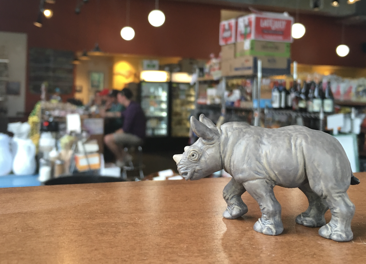 A shallow depth-of-field shot shows a small, gray plastic rhinoceros figurine on a brown wooden counter in the foreground. The rhinoceros is facing to the left. The background, which is out of focus, shows the interior of a casual cafe or store with patrons sitting at a counter, a refrigerated case, and shelves stocked with wine and other goods. The lighting is warm with several round light fixtures hanging from the ceiling.