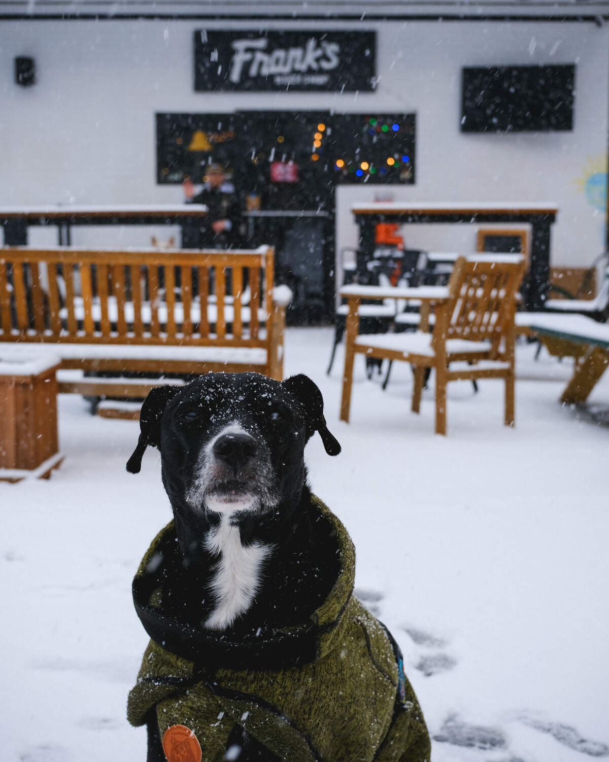 Frank’s Beer Shop is dog friendly.