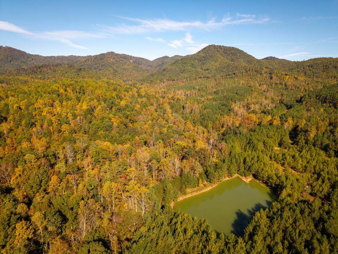 The newly protected tract, known as Pinnacle Mountains South, is part of plan to “create a permanent conservation corridor linking the South Mountains to the Blue Ridge Mountains,” according to the Foothills Conservancy of North Carolina.