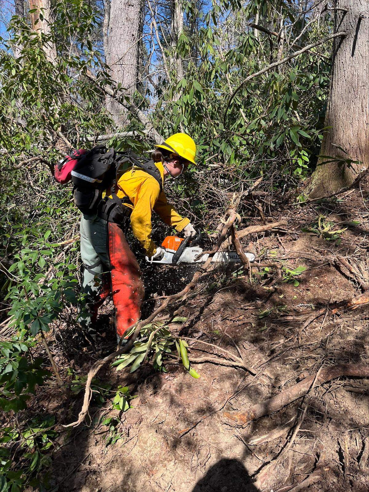 An AmeriCorps NCCC member cuts through fuel as part of her team’s response to the Black Cove Complex Fire in Western North Carolina.