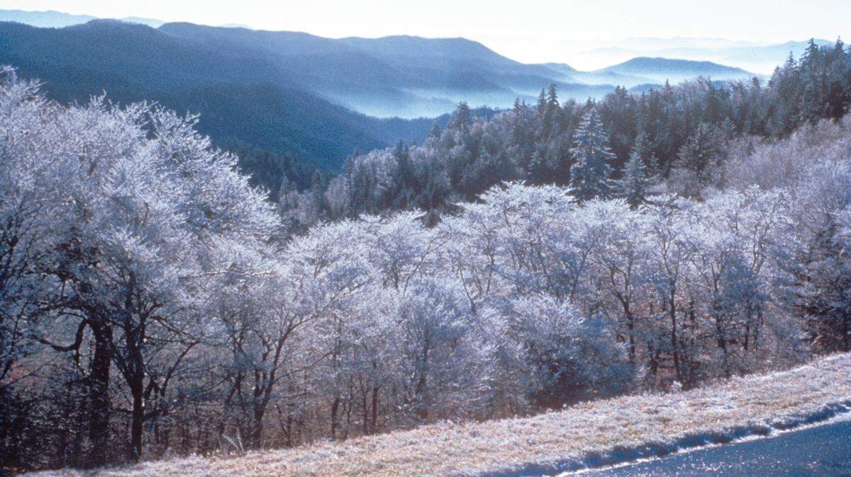 Great Smoky Mountains National Park closed on the Martin Luther King Jr. holiday due to a winter storm that is expected to create dangerous conditions, according to the National Park Service.