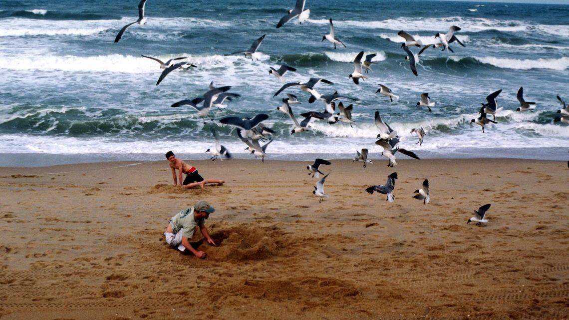 A shark bite has been reported off one of the state’s Outer Banks beaches