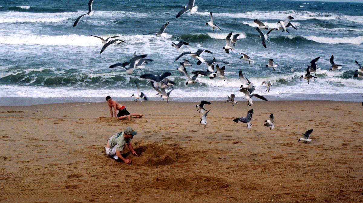 A shark bite has been reported off one of the state’s Outer Banks beaches